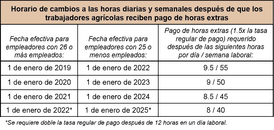 El Estatuto de los Trabajadores aclara cuánto tiempo de descanso puedes  coger en 8 horas de trabajo