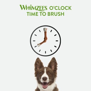 No Doggie Dentures Here: WHIMZEES All-Natural Daily Dental Chews for Dogs Reminds Pet Parents It's Time to Brush for Pet Dental Health Month