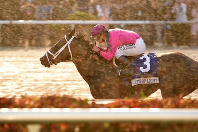 City of Light, ridden by Hall of Fame jockey Javier Castellano, wins the $9 million Pegasus World Cup Invitational at the $16 million Pegasus World Cup Championship Invitational Series at Gulfstream Park on January 26, 2019 in Hallandale, Florida. (Photo by Lauren King)