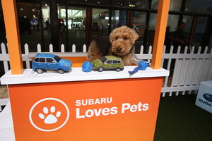Subaru Hosts Event To Help Pets Find Homes During 2019 Philadephia Auto Show