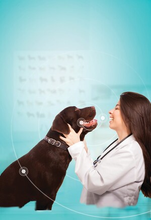 Les soins dentaires des chiens - Ce n'est pas qu'une question d'haleine de chien!
