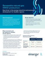 Renewable natural gas (RNG) production: Key driver in the energy transition and economic development for Qubec regions (CNW Group/nergir)