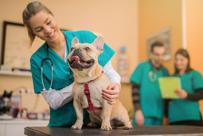 Healthy Paws Pet Insurance Awards 2 Students with Scholarships for Spring 2019