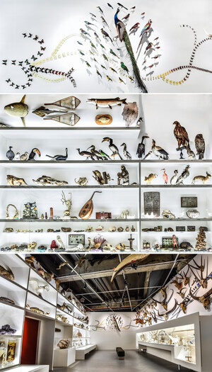 Into the Wonder Room at Pointe-à-Callière - An ode to the fascinating and wonderful world of cabinets of curiosities