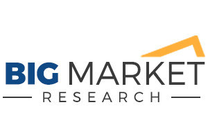 Big Market Research Logo