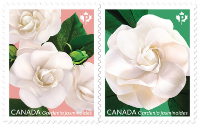 Gardenia stamp (CNW Group/Canada Post)