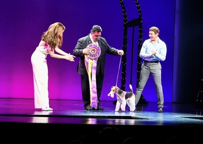 2019 Westminster Dog Show Winner, King, takes his Broadway bow at the Nederlander Theatre in Pretty Woman: The Musical