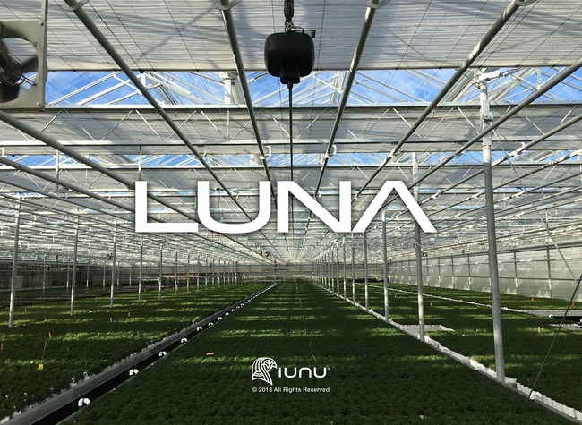 LUNA is an Artificial Intelligence that will drive 