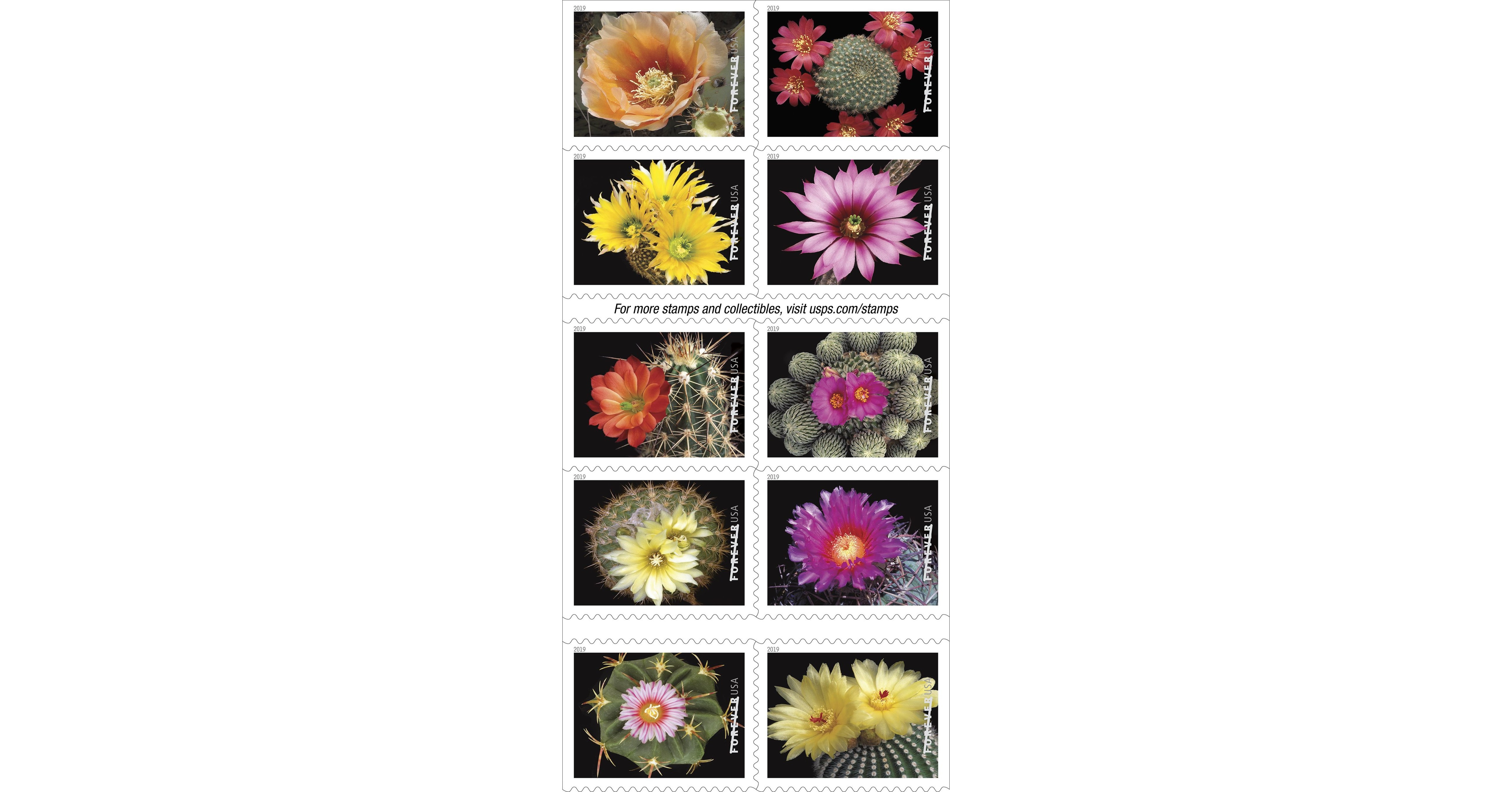 USPS releases Cactus Flowers Forever stamps - Newsroom - About