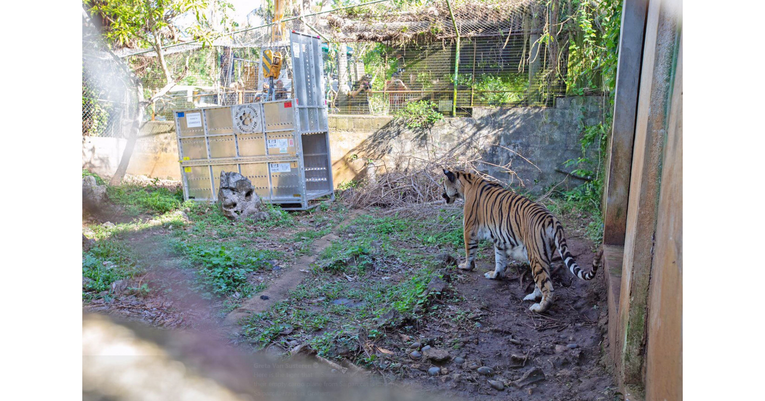 World's Largest Carnivore Sanctuary Sharing its Mission with Corporate World