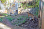 World's Largest Carnivore Sanctuary Sharing its Mission with Corporate World