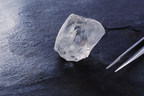 Lucara recovers 223 carat high white gem diamond from Karowe