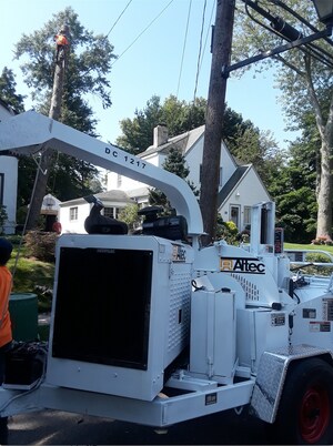 AAA Tree Service is Inaugurating a New Office to Provide its Professional Tree Services in New York and Long Island in 2019