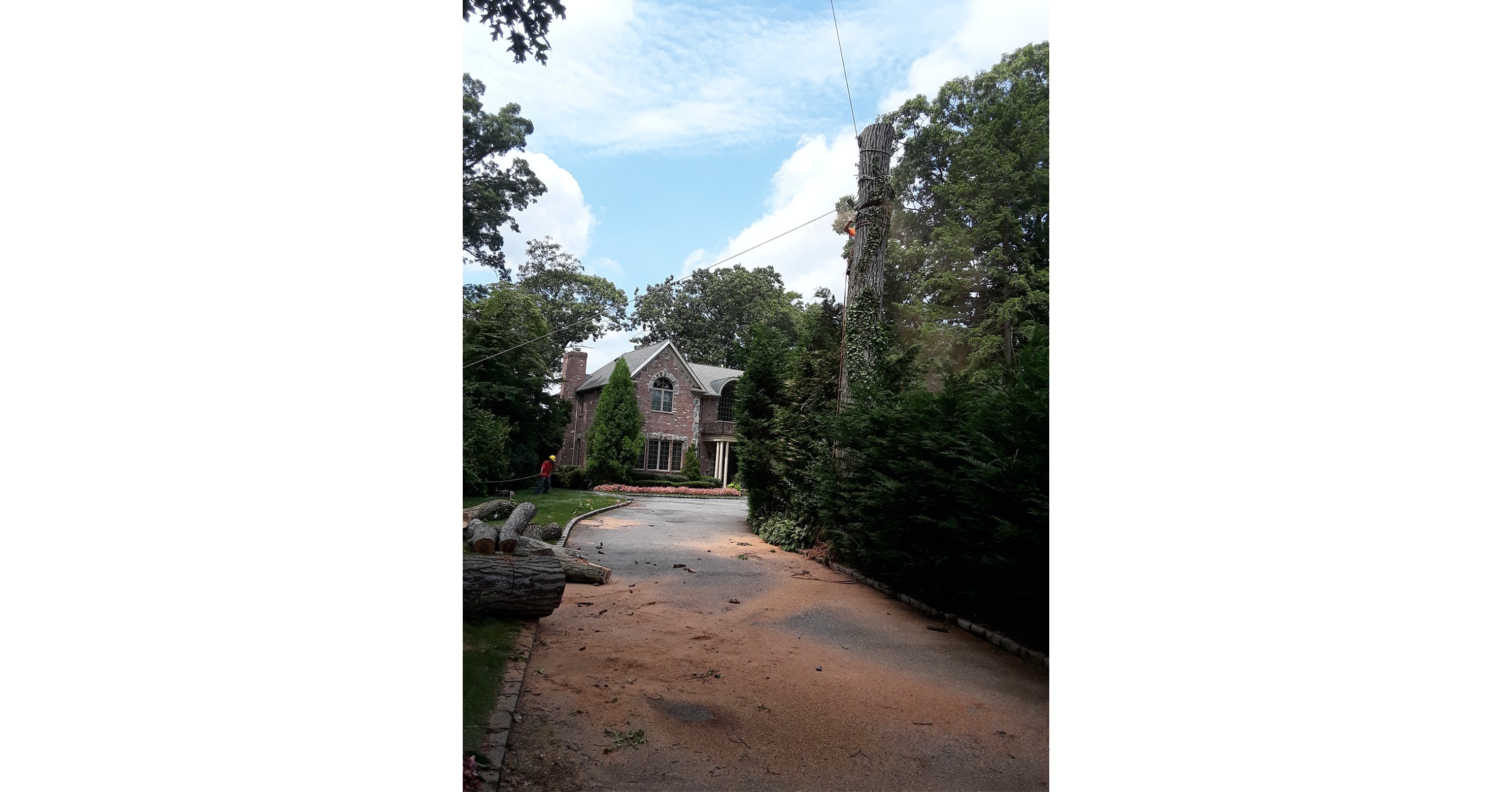 AAA Tree Service is Inaugurating a New Office to Provide its ...