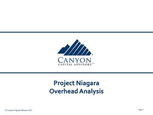 Canyon Partners Proposes Minority Slate of Nominees