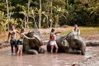 Elefanten-Schlammbad im Bali Zoo zieht Tausende von Besuchern aus aller Welt an