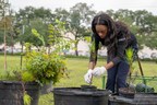 Neighborhood Roots: Enterprise Expanding Tree-Planting Partnership with Arbor Day Foundation