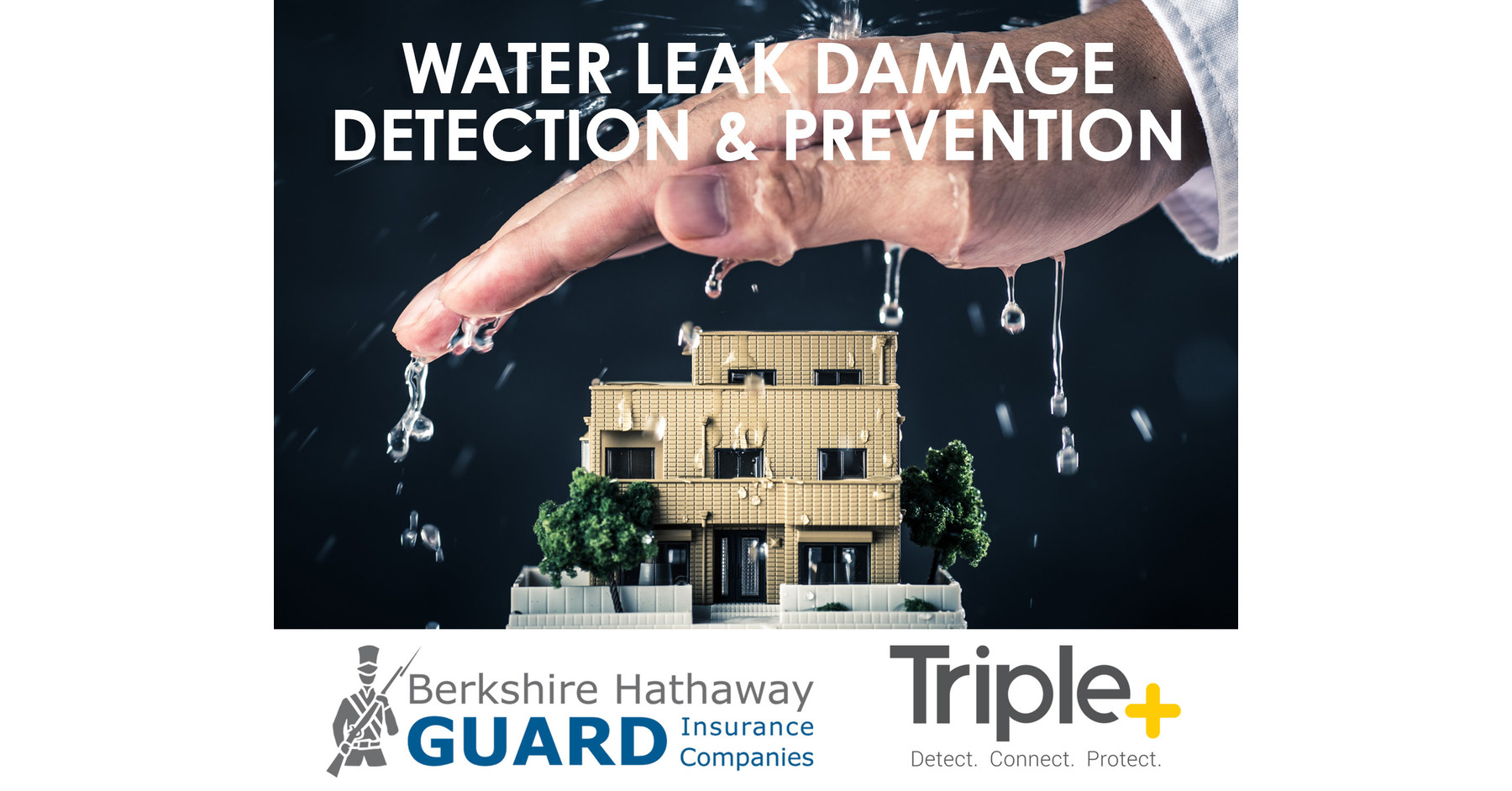 Triple+ and Berkshire Hathaway GUARD Insurance Companies Partner on