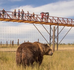 Colorado Governor Polis and First Gentleman to Present Inauguration Charity Check to The Wild Animal Sanctuary