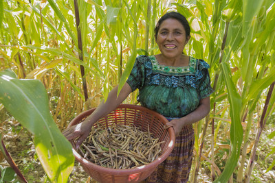 She Feeds the World will support women like Doña Juana, who collects dried beans on her farm in the Quiché Dry Corridor in Guatemala, which has experienced several consecutive years of drought. Loss in agricultural production and reduced household incomes have increased rates of poverty and chronic malnutrition in her community. Photo by Caroline Joe/CARE