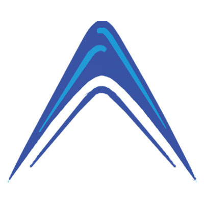 Absolute Market Insights Logo