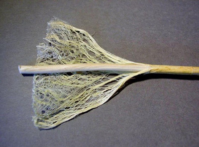 'Hemp Bast' - the fiber left over from processing hemp