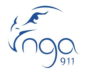 NGA 911 Deploys the 9-1-1 Cloud in Louisiana