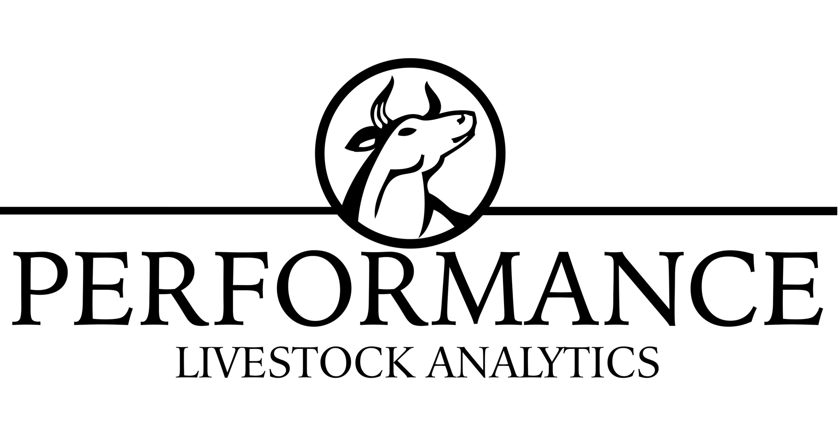 Cavallo Ventures invests in the future of feed with Performance
