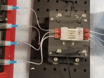 The Redbud STR microfluidic chip employed in a perfusion experiment on the bench.