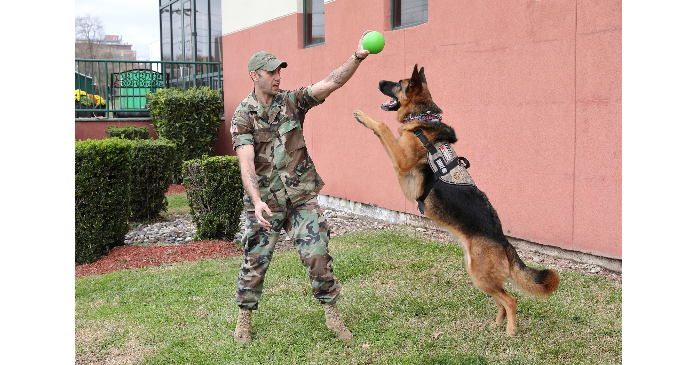 Disabled War Veteran Repays Service Dog Organization, by Inventing New