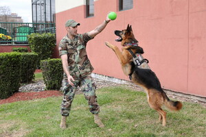 Disabled War Veteran Repays Service Dog Organization, by Inventing New Chew-Toy and Donating All Profits