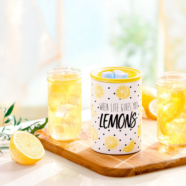 Alex's Lemonade Stand — When Life Gives You Lemons
