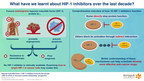The Fight Against Cancer: The Promise of HIF-1 Inhibitors