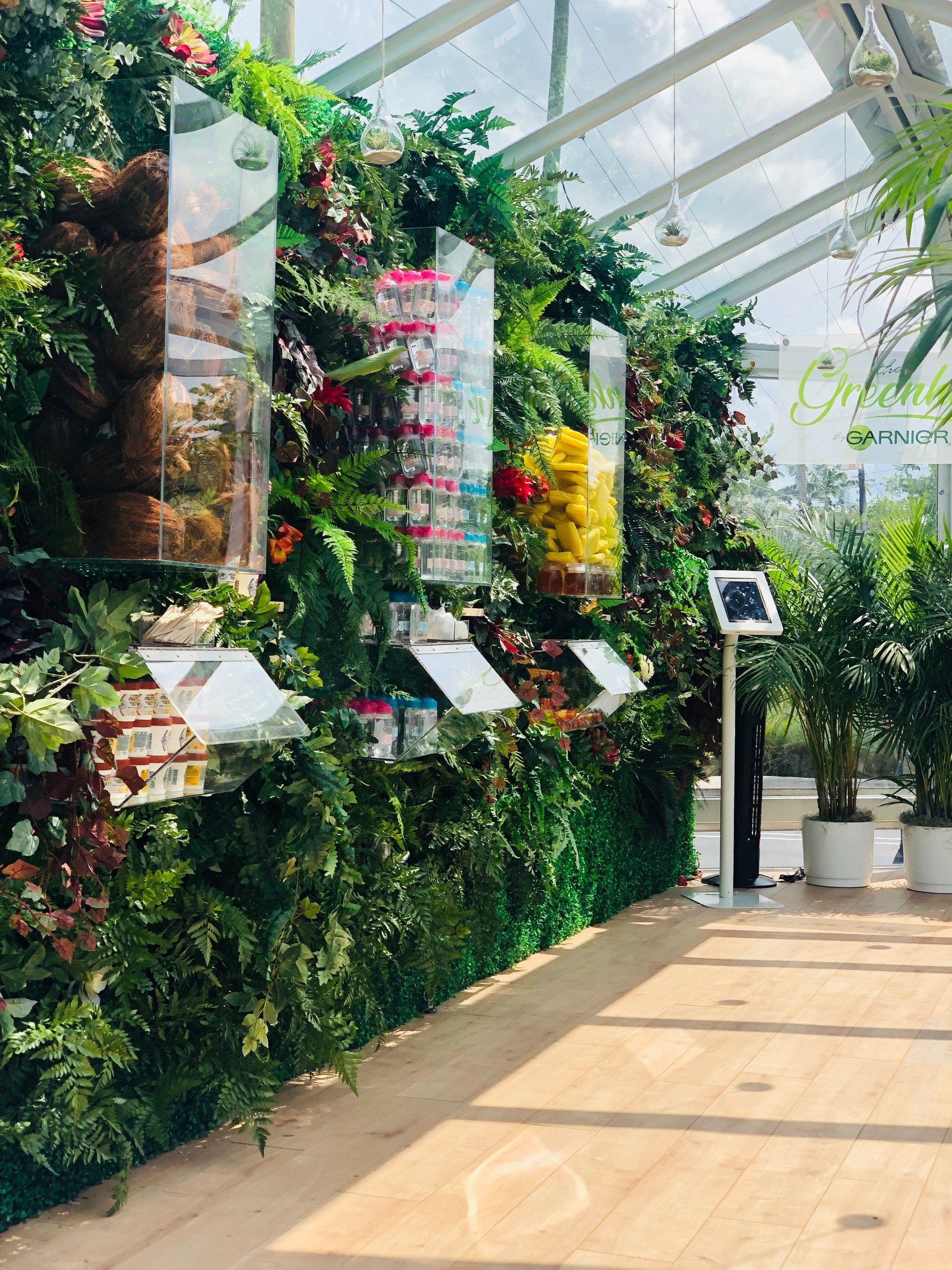 Rite Aid Flowers Mill Best Flower Site