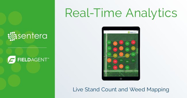 Sentera Real-Time Analytics for FieldAgent allows sampling of 100x more data points than manual methods.