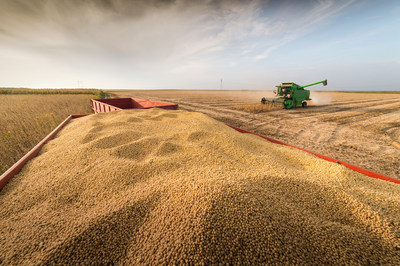 Benson Hill will deliver and expand the portfolio of soybean varieties with superior protein content and quality for human food and animal feed markets.