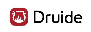 Logo : Druide informatique inc. (Groupe CNW/Druide informatique inc.)