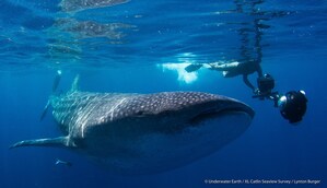 Earthx Unveils Lineup of Content for EarthxInteractive