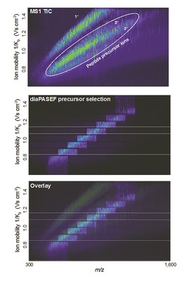 Figures showing how diaPASEF can efficiently fragment nearly all peptide ions eluting at a given retention time. Figures courtesy of Professor Matthias Mann and Dr. Florian Meier.