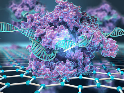Kiana Aran&rsquo;s novel system immobilizes the CRISPR complexes on the surface of graphene-based transistors.