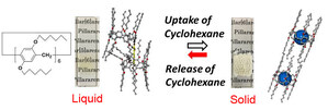 Kanazawa University Research: Vapor Drives a Liquid-solid Transition in a Molecular System