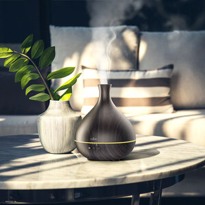 Anjou Launches Industry's Longest and Most Consistent Aroma Diffuser