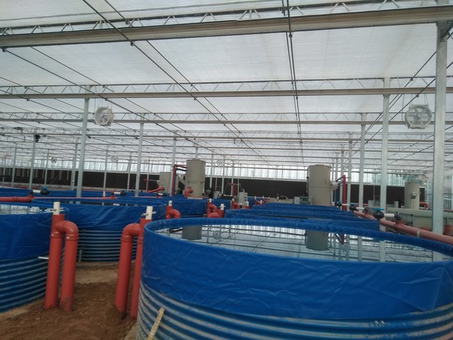 Biofishency Raises 2 4 Million For Its Water Treatment Systems For Aquaculture