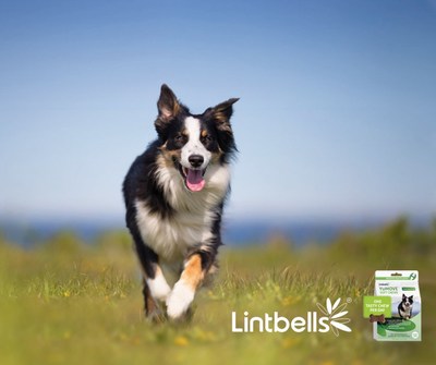 vet uk joint supplement