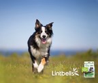 Introducing Lintbells: UK's #1 Vet Recommended Dog Joint Supplement Company Launches in the USA
