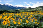 Explore Spring in Montana