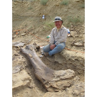 Professor Phil Manning next to a sauropod femur at the Jurassic Mile. Manning is the lead scientist at the new site in Wyoming and is an Extraordinary Scientist in Residence at The Children's Museum of Indianapolis. The project is called Mission Jurassic. The Children's Museum is the lead and happy to partner with Natural History Museum in London, UK and Naturalis Biodiversity Center in Leiden, Netherlands.