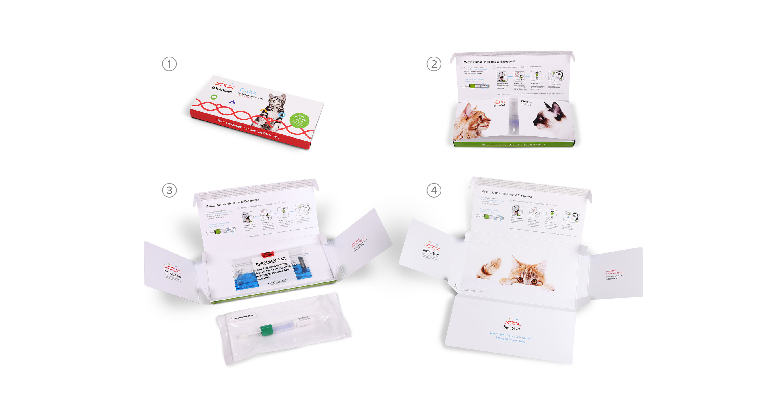 Basepaws Releases New Cat Dna Kit With Improved Accuracy Speed - 