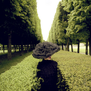 It's a Colorful, Colorful, Colorful World: Solo Exhibit of Rodney Smith Photographs