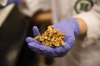 Scientists tie walnuts to gene expressions related to breast cancer